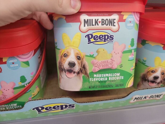 Are Dog Treats Even Allowed?