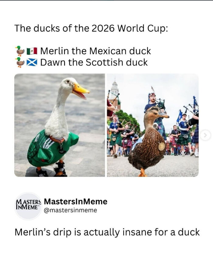 Wait, They Really Made a List of the Funniest World Cup Tweets?!