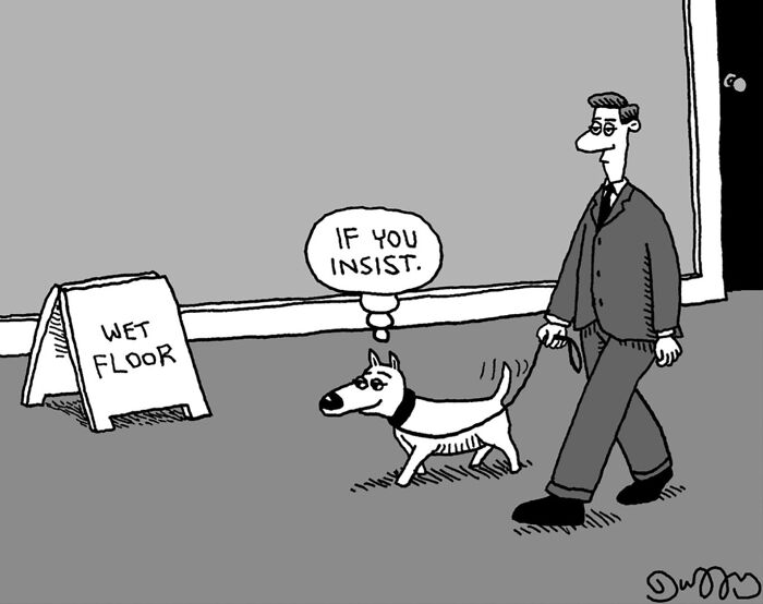 24 Hilariously Weird Cartoons By J.C. Duffy That'll Make You Go Huh?