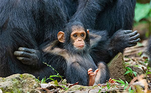 Wait, Nature Is This Hilarious? Check Out 80 Wildlife Pics That Nailed the Comedy Game