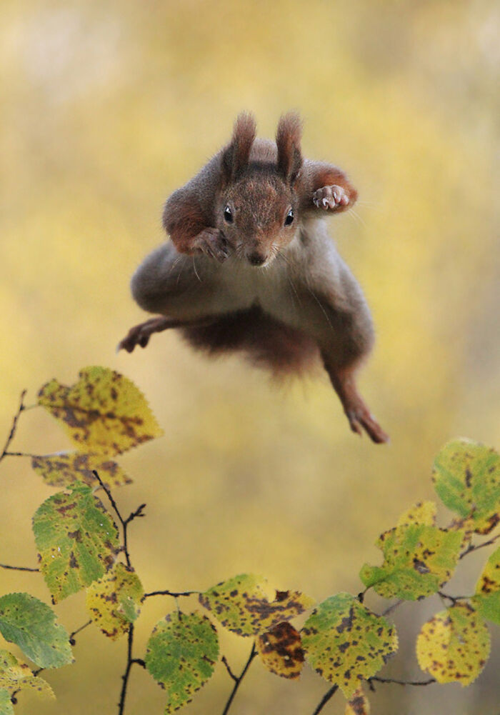 That Squirrel’s Got Sass