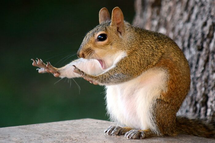 Caught In The Act! Busting Creatures Red-Pawed