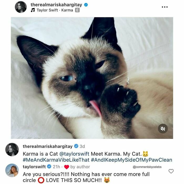 Wait, Celebs Really Say This Stuff? The Wildest Celebrity Comments Ever!