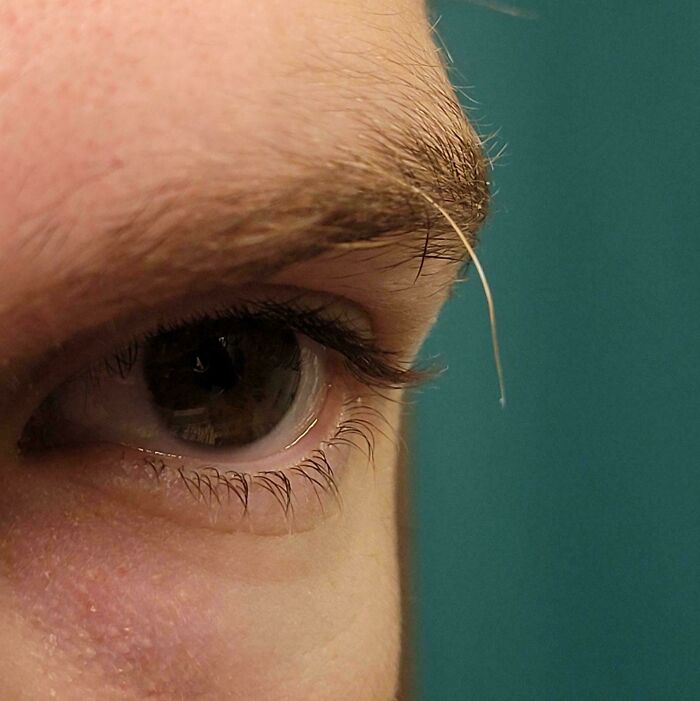 One Long Eyebrow Hair That Won’t Quit