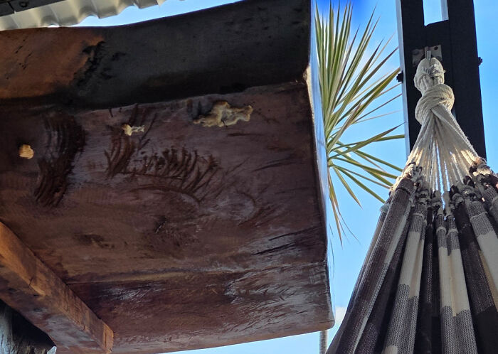Wait, They Actually Lived Through These Airbnb Fails?!