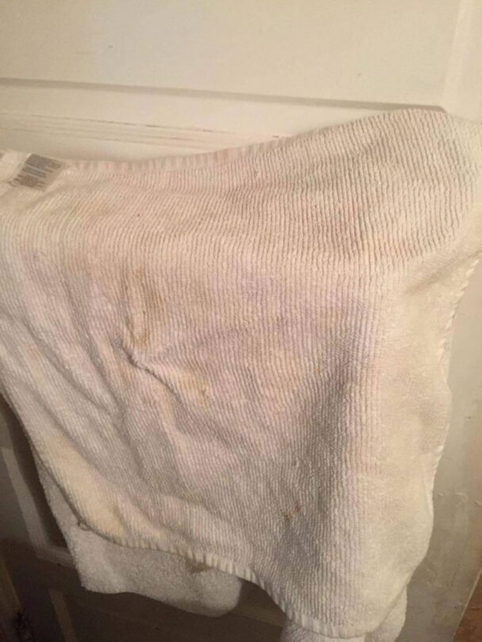 Wait, They Actually Lived Through These Airbnb Fails?!