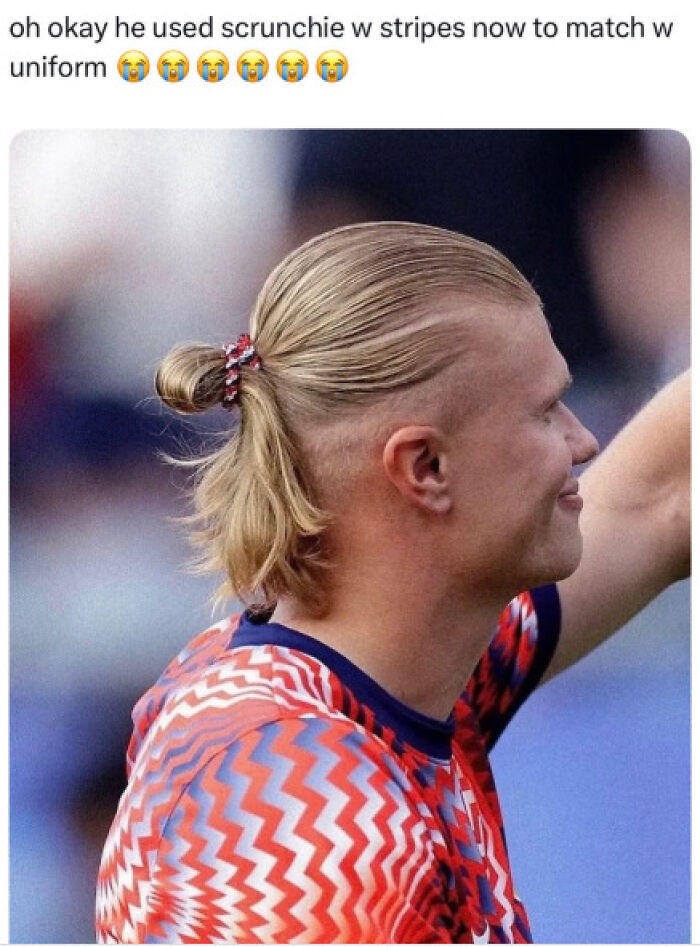 39 Erling Haaland Memes That Prove He's The King Of Silly Soccer Vibes