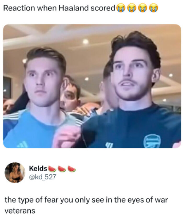 39 Erling Haaland Memes That Prove He's The King Of Silly Soccer Vibes