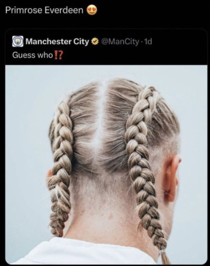 39 Erling Haaland Memes That Prove He's The King Of Silly Soccer Vibes