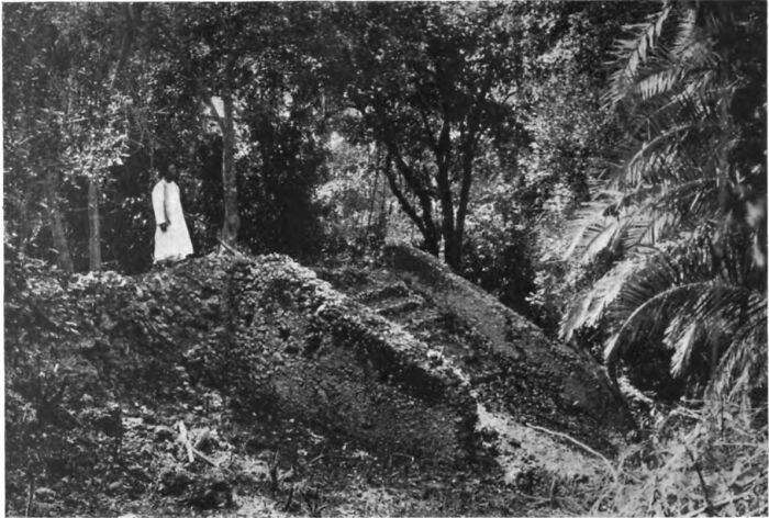 The Stairway To The Rampart, Pujini Citadel