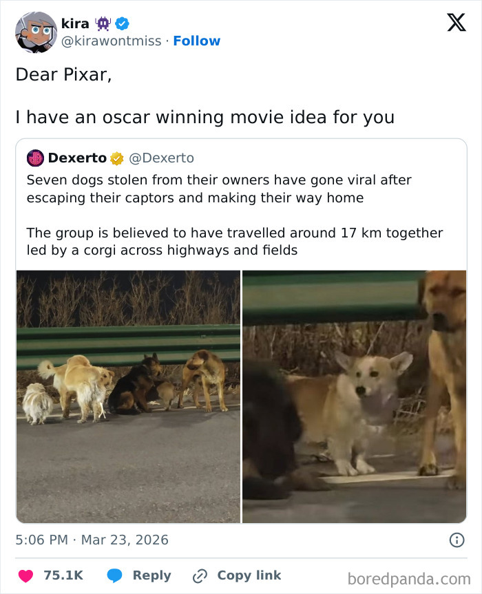 Wait, Cinephiles Actually Tweet This Stuff?!