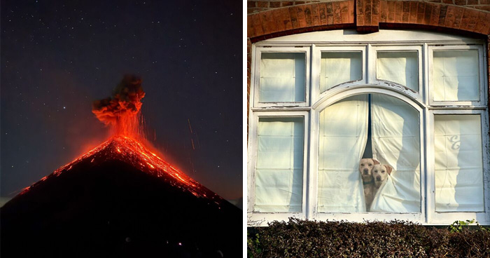 39 Mind-Blowing Pics Snapped on iPhones That Actually Won Awards