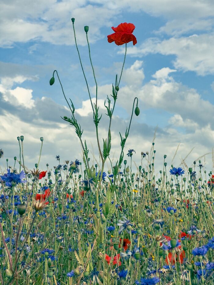 Nature’s Beauty: Paul Kitcatt’s Chill Vibes