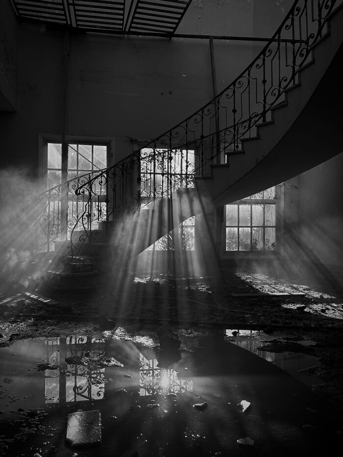 Quirky & Cool: Gabriela Alvelo’s Otherworldly Click