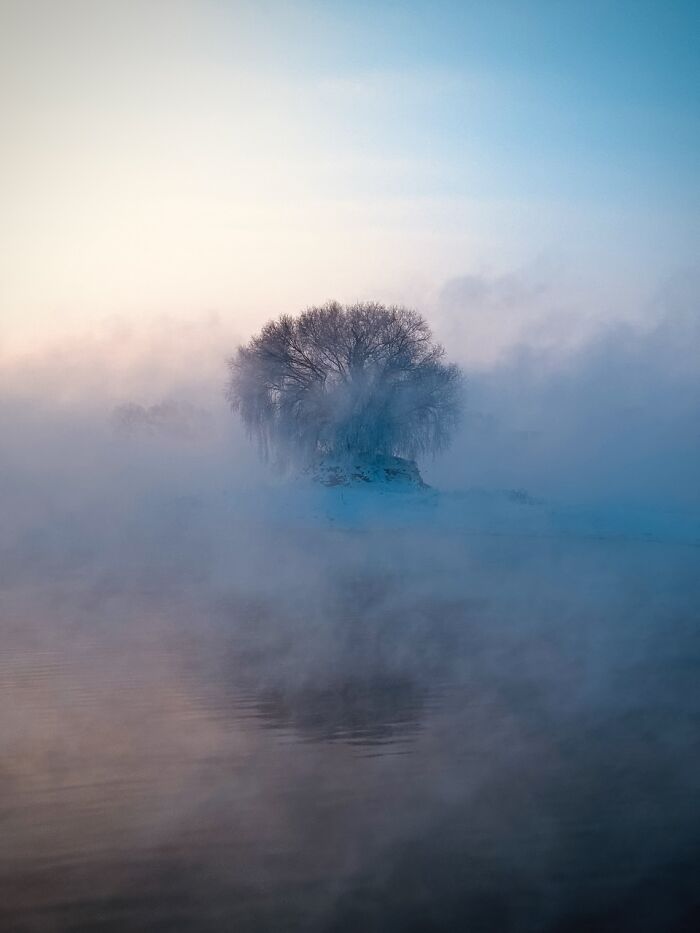 Nature’s Finest: Tianjiao Zhang’s 1st Place Wonder