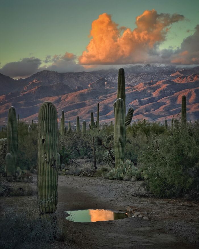 Landscape Love: Joseph Cyr’s 3rd Place Gem