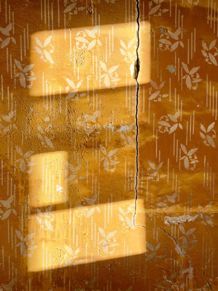 Abstract 3rd Place: Jo Borzsony’s Artsy Shot