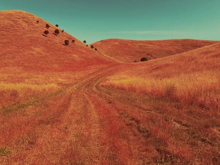 Top Landscape: Anthony Ginns’s Aussie Beauty