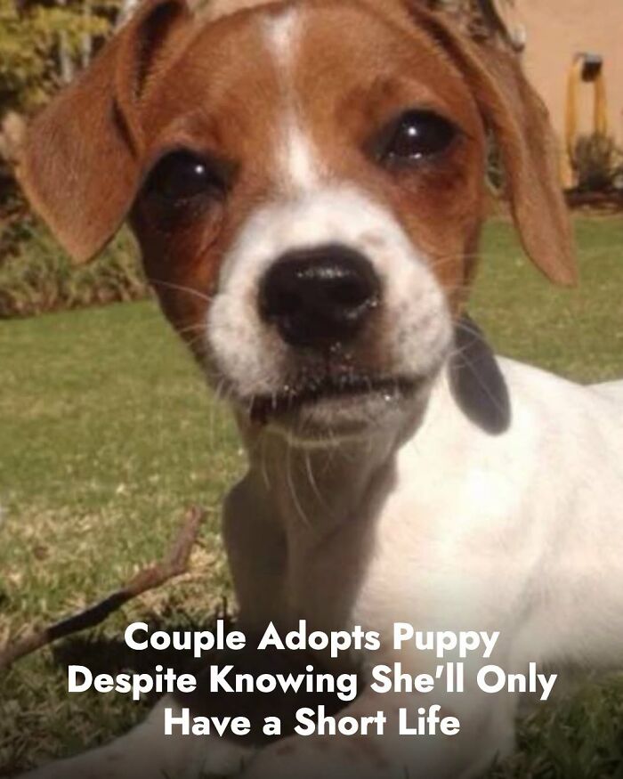 These Animal Rescue Stories Will Totally Warm Your Heart (And Maybe Your Socks Too)