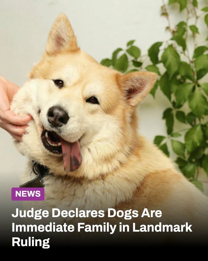 These Animal Rescue Stories Will Totally Warm Your Heart (And Maybe Your Socks Too)