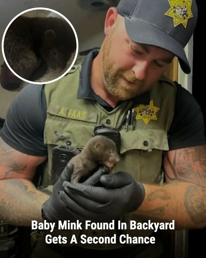 These Animal Rescue Stories Will Totally Warm Your Heart (And Maybe Your Socks Too)