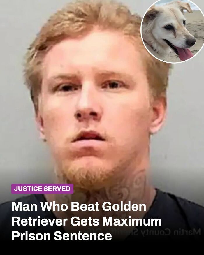 These Animal Rescue Stories Will Totally Warm Your Heart (And Maybe Your Socks Too)