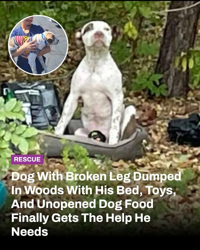 These Animal Rescue Stories Will Totally Warm Your Heart (And Maybe Your Socks Too)