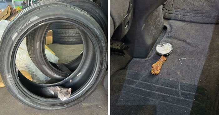 Mechanics Spill The Wildest ‘Just Rolled Into The Shop’ Stories That’ll Make You LOL