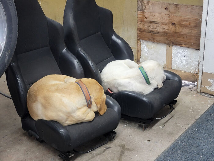 Show Us Your Shop Seat, We’ll Show Ours