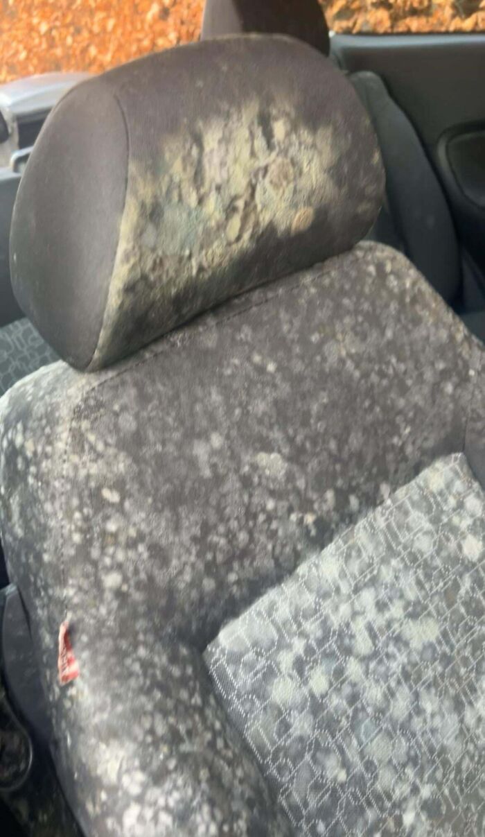 Mechanics Spill The Wildest 'Just Rolled Into The Shop' Stories That’ll Make You LOL