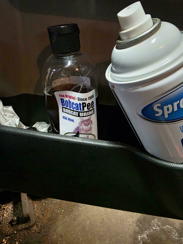 Mechanics Spill The Wildest 'Just Rolled Into The Shop' Stories That’ll Make You LOL