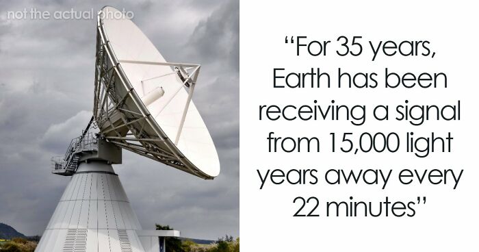 Wait, They Actually Rank This?! 63 Mind-Blowing Facts That’ll Totally Blow Your Mind