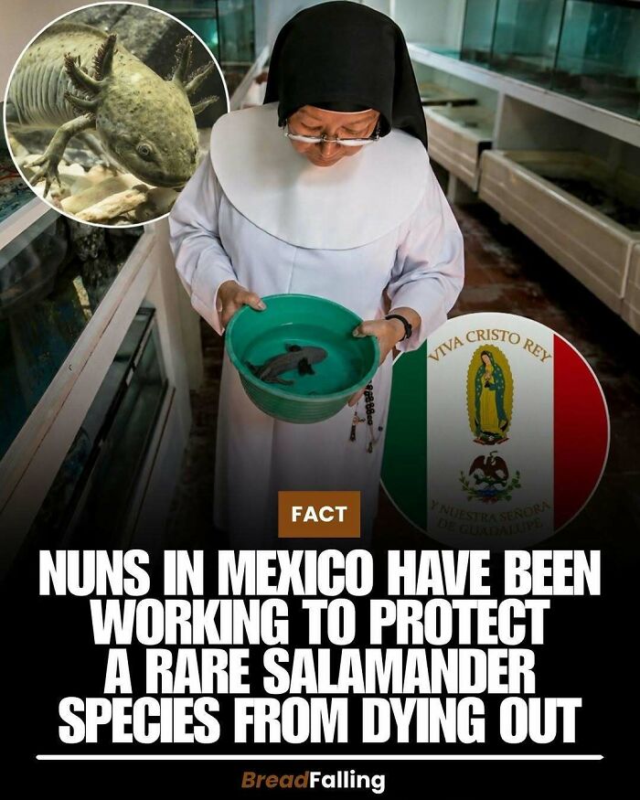 Wait, They Actually Rank This?! 63 Mind-Blowing Facts That’ll Totally Blow Your Mind