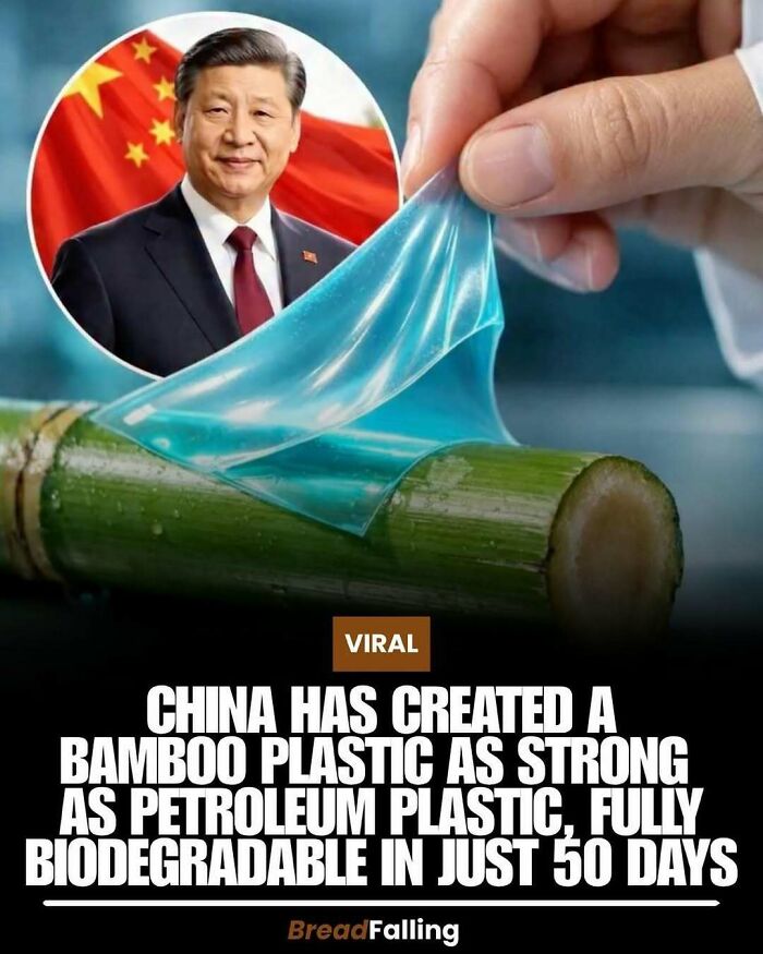 Wait, They Actually Rank This?! 63 Mind-Blowing Facts That’ll Totally Blow Your Mind