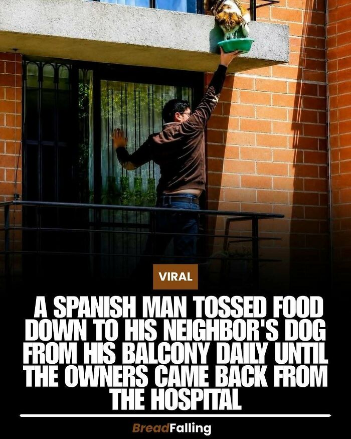 Wait, They Actually Rank This?! 63 Mind-Blowing Facts That’ll Totally Blow Your Mind