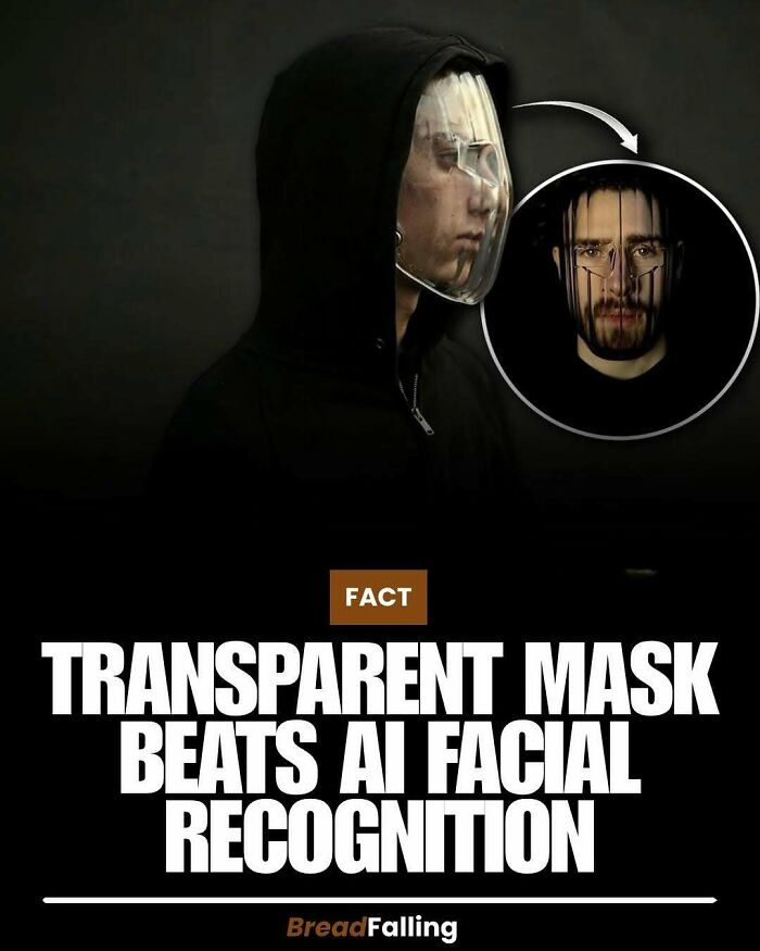 Wait, They Actually Rank This?! 63 Mind-Blowing Facts That’ll Totally Blow Your Mind