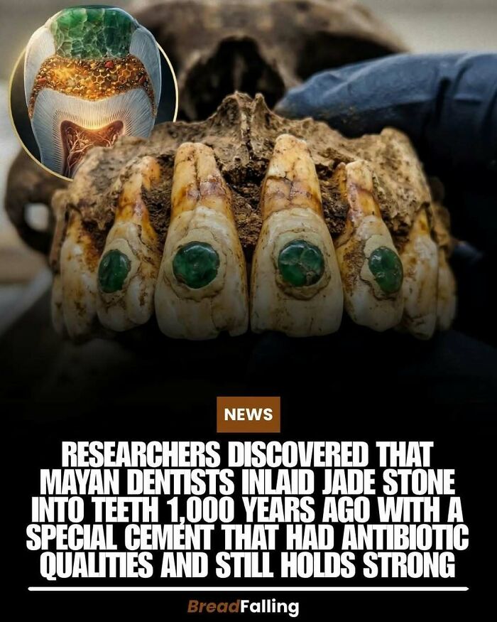 Wait, They Actually Rank This?! 63 Mind-Blowing Facts That’ll Totally Blow Your Mind