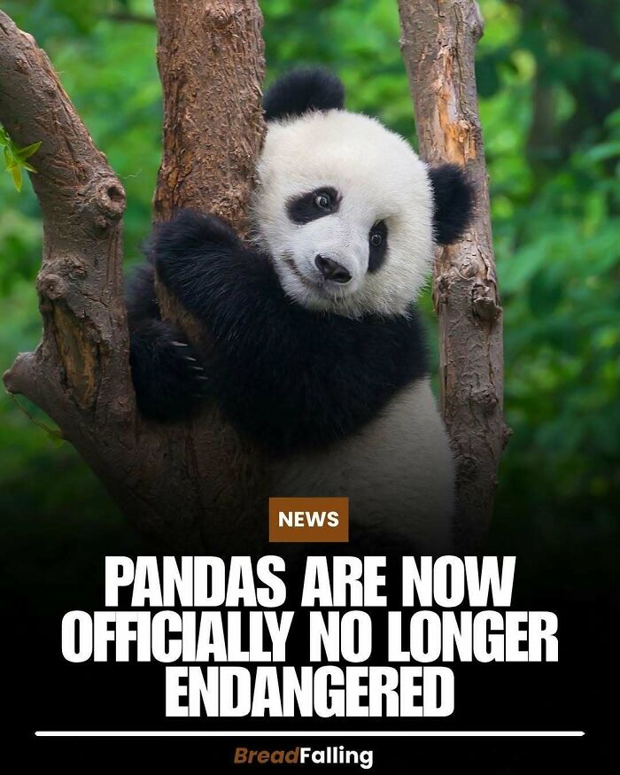 Wait, They Actually Rank This?! 63 Mind-Blowing Facts That’ll Totally Blow Your Mind