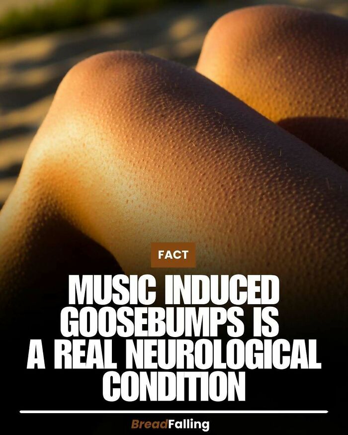 Wait, They Actually Rank This?! 63 Mind-Blowing Facts That’ll Totally Blow Your Mind