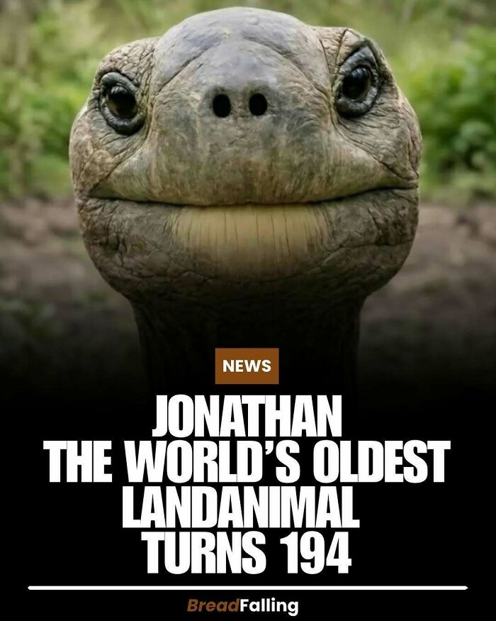 Wait, They Actually Rank This?! 63 Mind-Blowing Facts That’ll Totally Blow Your Mind