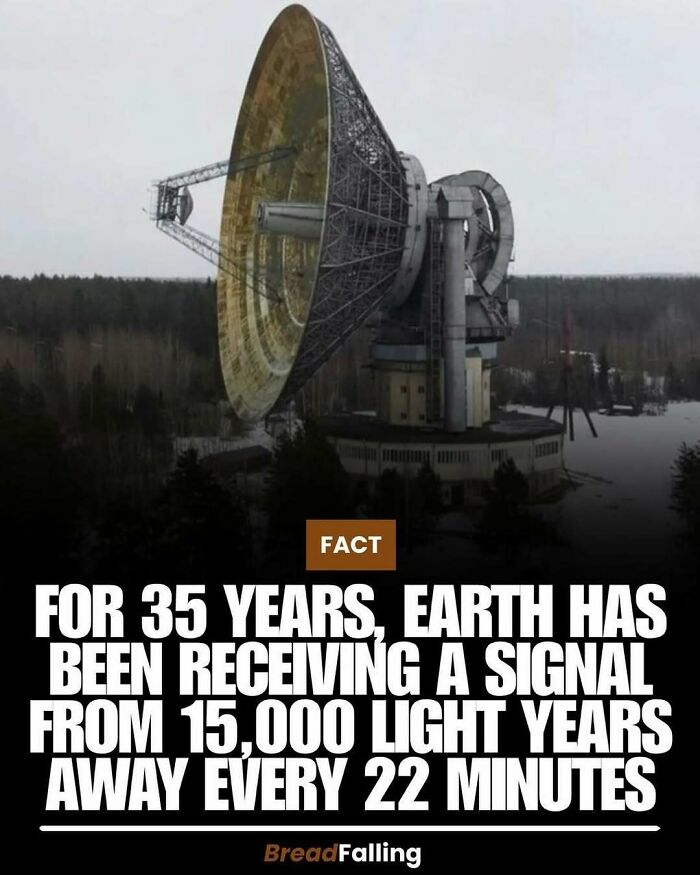 Wait, They Actually Rank This?! 63 Mind-Blowing Facts That’ll Totally Blow Your Mind