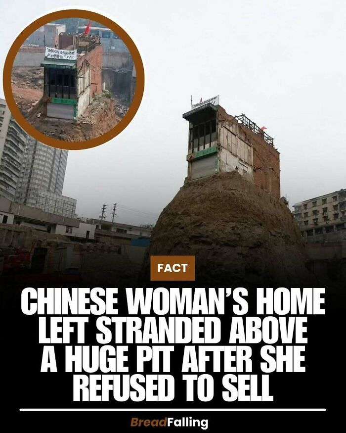 Wait, They Actually Rank This?! 63 Mind-Blowing Facts That’ll Totally Blow Your Mind