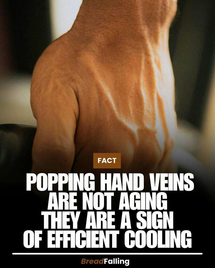 Wait, They Actually Rank This?! 63 Mind-Blowing Facts That’ll Totally Blow Your Mind