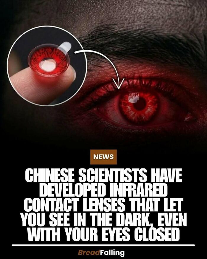 Wait, They Actually Rank This?! 63 Mind-Blowing Facts That’ll Totally Blow Your Mind