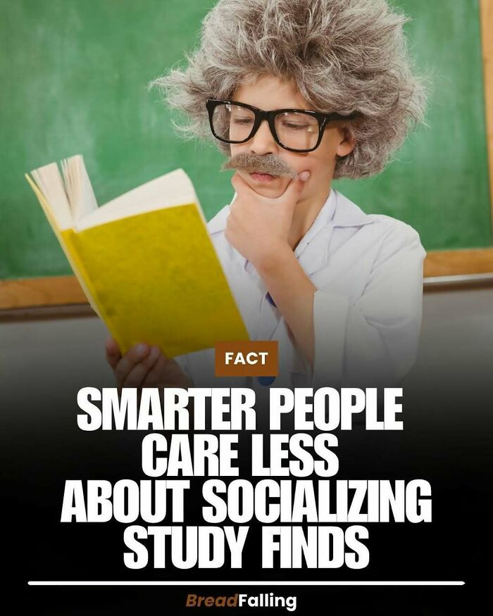 Wait, They Actually Rank This?! 63 Mind-Blowing Facts That’ll Totally Blow Your Mind