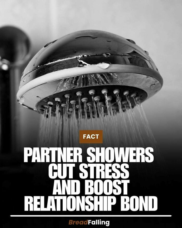 Wait, They Actually Rank This?! 63 Mind-Blowing Facts That’ll Totally Blow Your Mind
