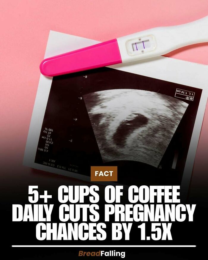 Wait, They Actually Rank This?! 63 Mind-Blowing Facts That’ll Totally Blow Your Mind