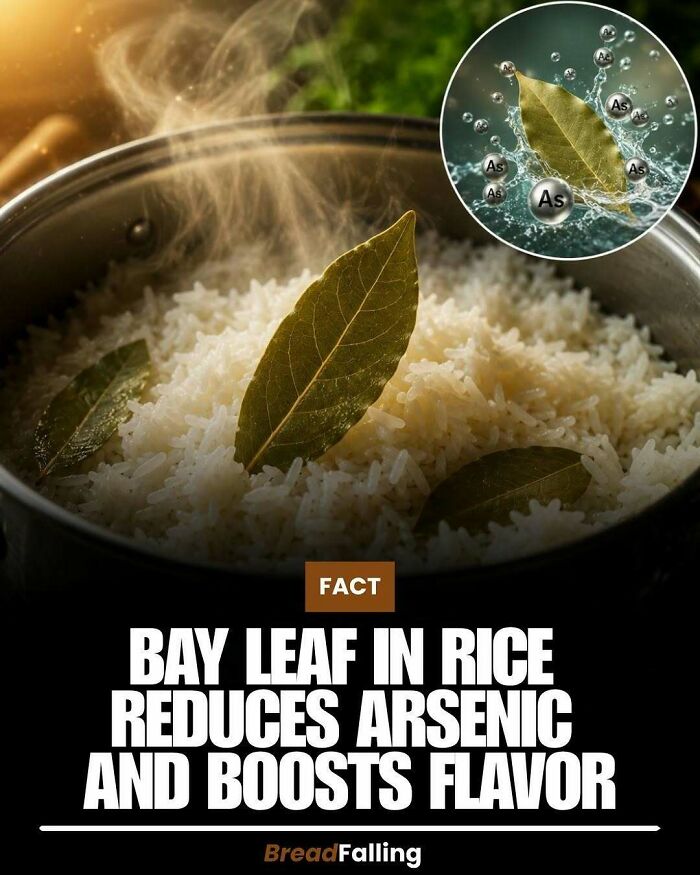 Wait, They Actually Rank This?! 63 Mind-Blowing Facts That’ll Totally Blow Your Mind