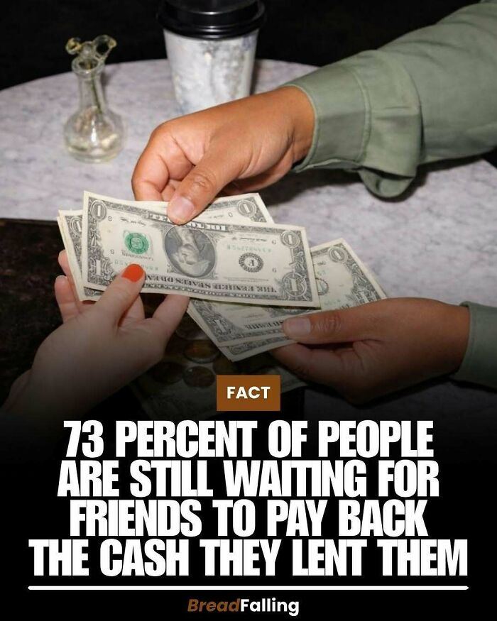 Wait, They Actually Rank This?! 63 Mind-Blowing Facts That’ll Totally Blow Your Mind