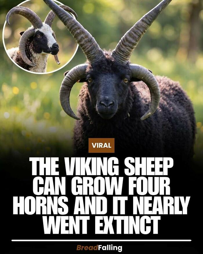 Wait, They Actually Rank This?! 63 Mind-Blowing Facts That’ll Totally Blow Your Mind